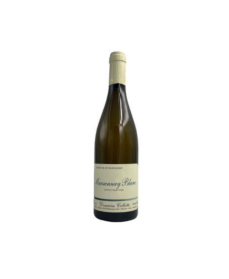 Marsannay Blanc 2022 - Domaine Collotte (Bourgogne)