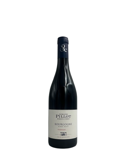 Bourgogne Rouge - Domaine Romain & Simon Pillot (Bourgogne)