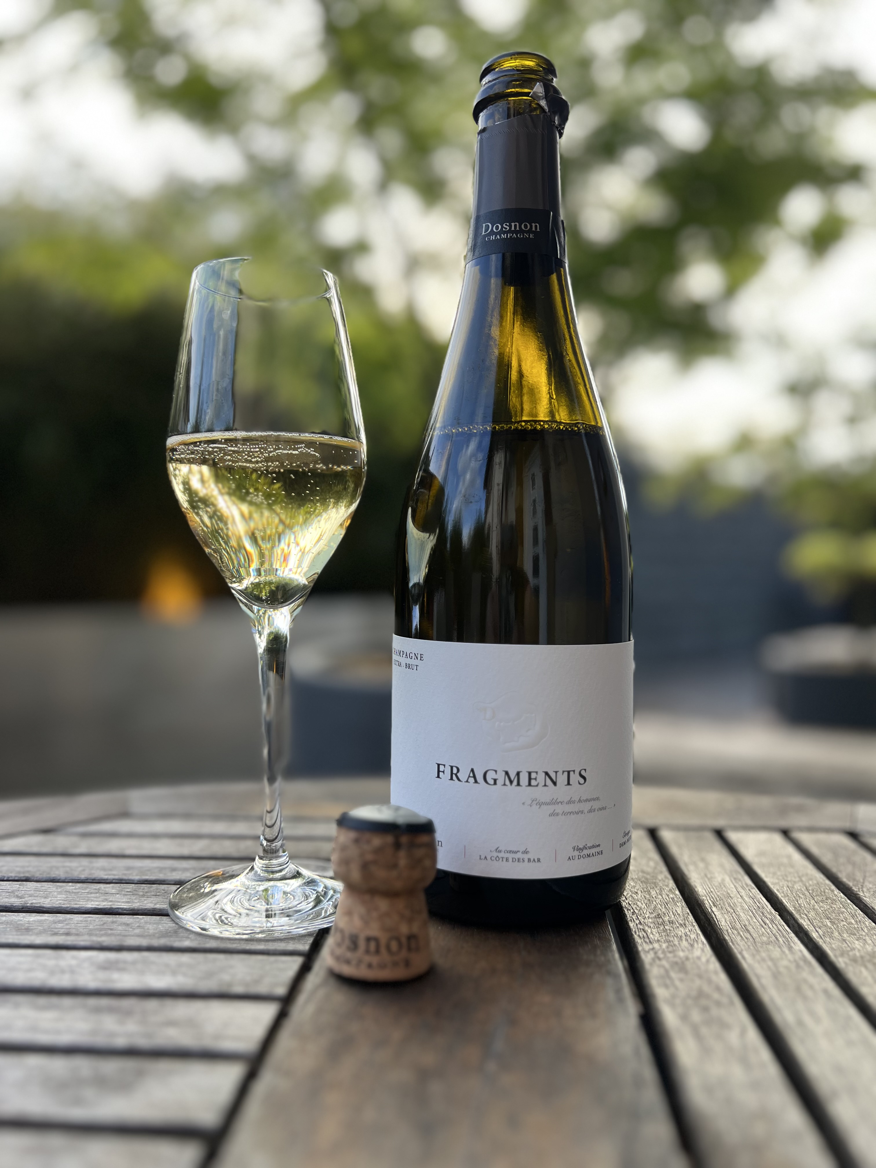 Champagne Dosnon Cuvée Fragments brut